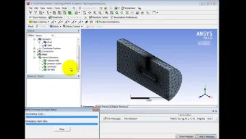 Miniatura Ansys Fluent