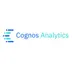 IBM Cognos Analytics