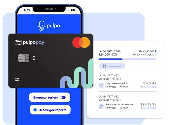 Pulpo