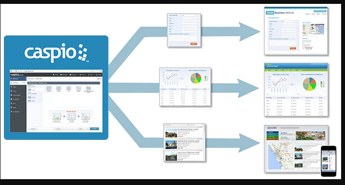Caspio Base de Datos