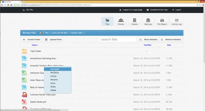 Anchor Software