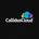 CallidusCloud - Marketing