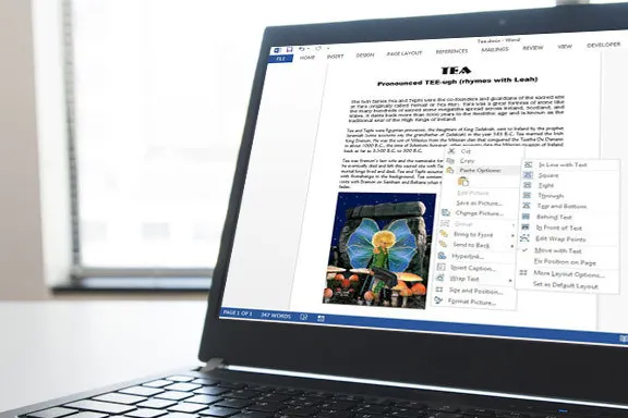 Microsoft Word