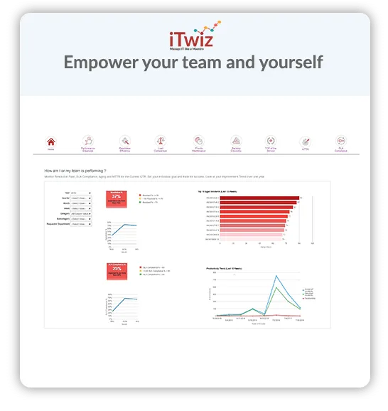 iTwiz Soporte TI