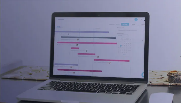 Wizeline Roadmap