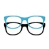 Four Eyes Surveys