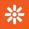 Kentico Contenido Web