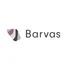 Barvas Gestión de Proyectos