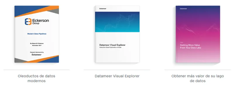 Datameer