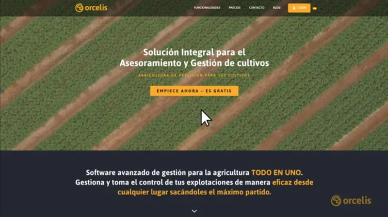 Orcelis