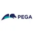 Pega BPM