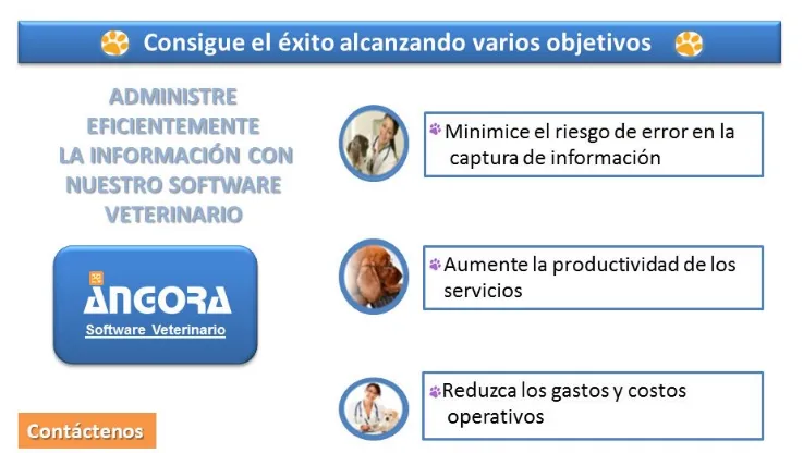 Angora Gestión Veterinaria