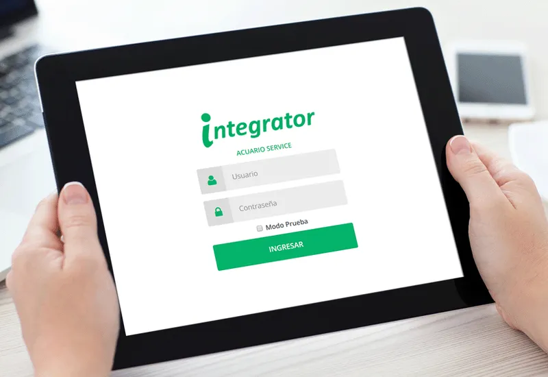 ERP Integrator