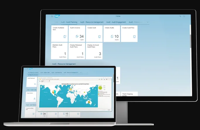 SAP Audit Management