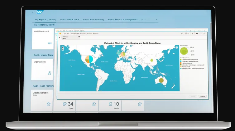 SAP Audit Management