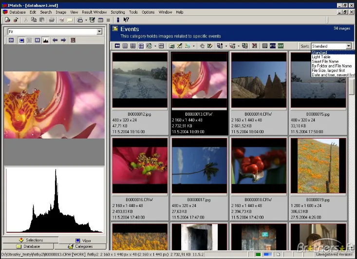 IMatch DAM Software