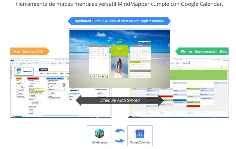 MindMapper Software