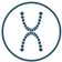 XDental