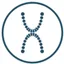 XDental